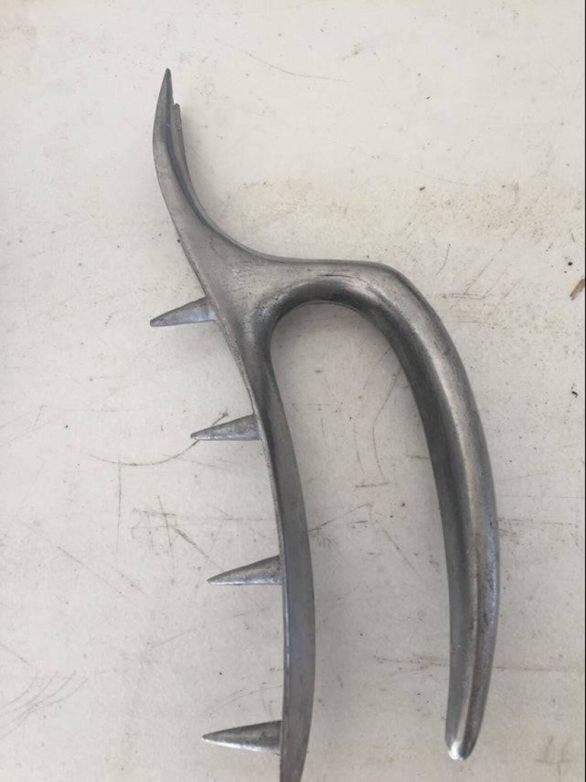 20 hallazgos extraños, cuyo origen se descubrió gracias a la Red 20 hallazgos extraños, cuyo origen se descubrió gracias a la Red