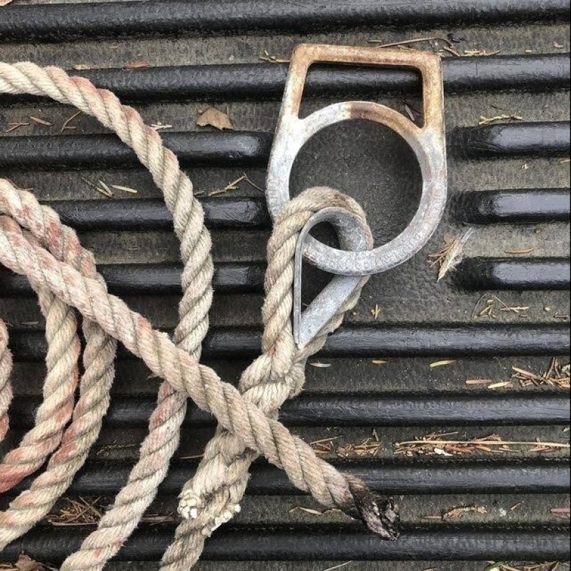 20 hallazgos extraños, cuyo origen se descubrió gracias a la Red 20 hallazgos extraños, cuyo origen se descubrió gracias a la Red