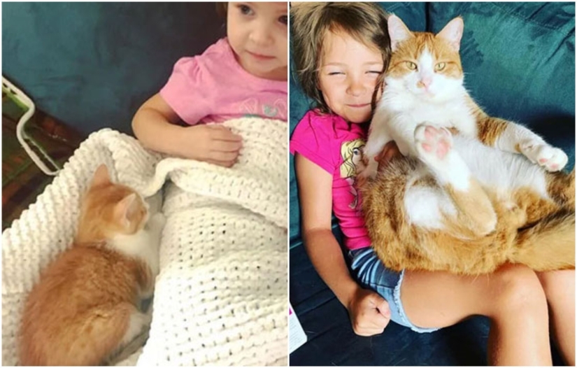 20+ heart touching pictures about how to quickly grow our favorite koteyki 20+ heart touching pictures about how to quickly grow our favorite koteyki