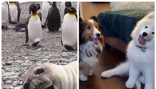 20 hermosas imágenes que harán que tu día mejor