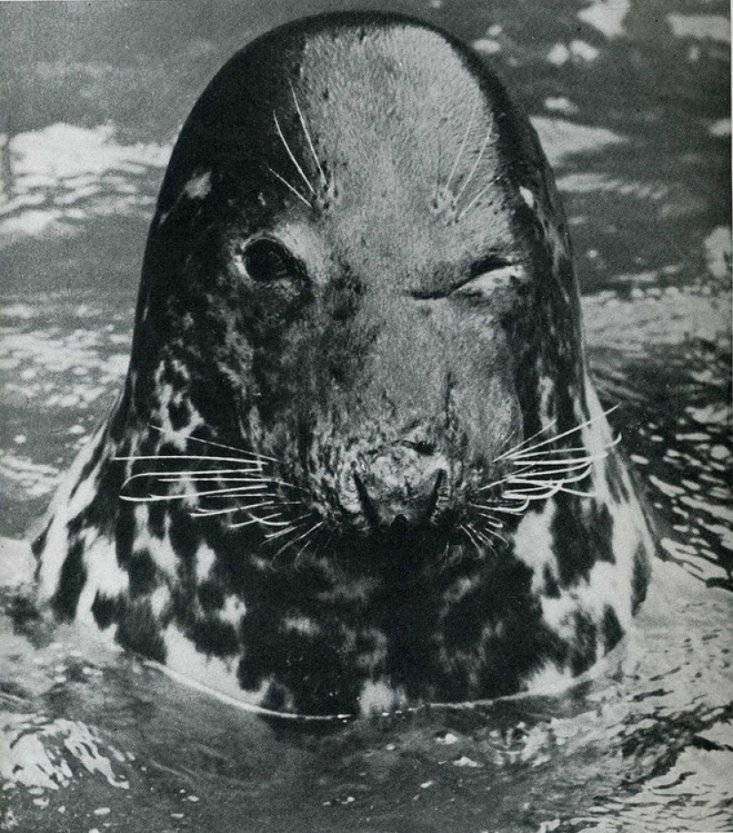 20 historical frames caught at the right moment