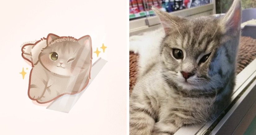 20 ilustraciones increíblemente lindas de animales lindos de Internet 20 ilustraciones increíblemente lindas de animales lindos de Internet