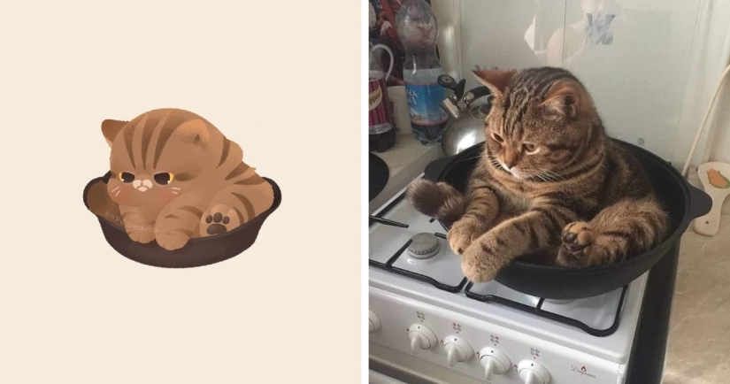 20 ilustraciones increíblemente lindas de animales lindos de Internet 20 ilustraciones increíblemente lindas de animales lindos de Internet