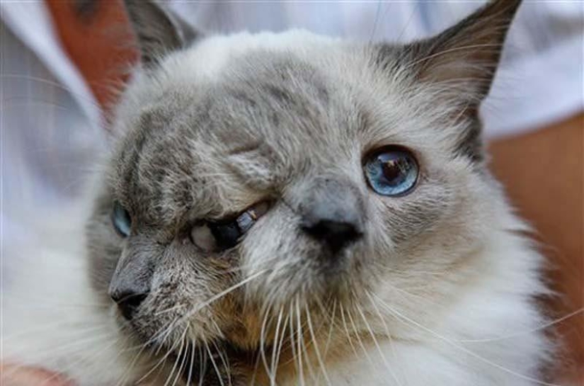 20 imágenes que, por difícil que sea de creer, fueron hechas sin photoshop