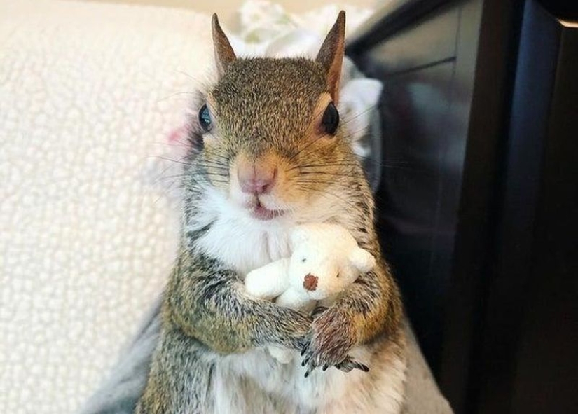 20+ interesting photos that will become your antidote to a bad day 20+ interesting photos that will become your antidote to a bad day