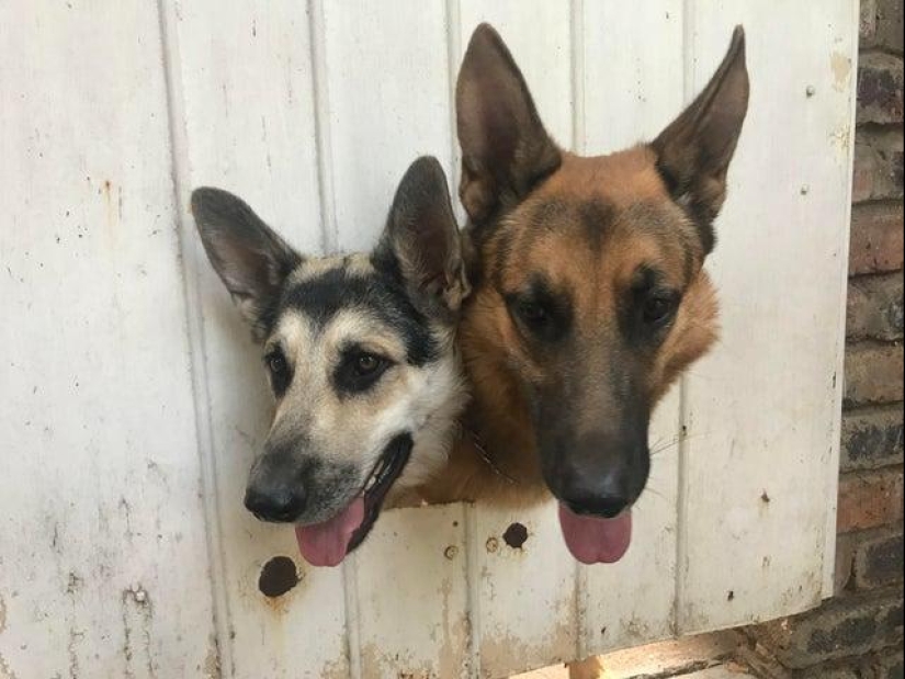 20+ interesting photos that will become your antidote to a bad day 20+ interesting photos that will become your antidote to a bad day