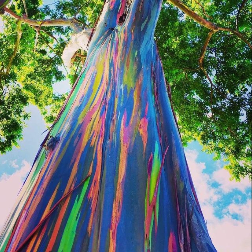 20+ interesting photos that will become your antidote to a bad day 20+ interesting photos that will become your antidote to a bad day