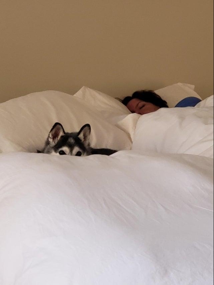 20+ interesting photos that will become your antidote to a bad day 20+ interesting photos that will become your antidote to a bad day