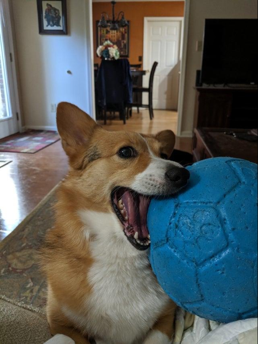 20+ interesting photos that will become your antidote to a bad day 20+ interesting photos that will become your antidote to a bad day