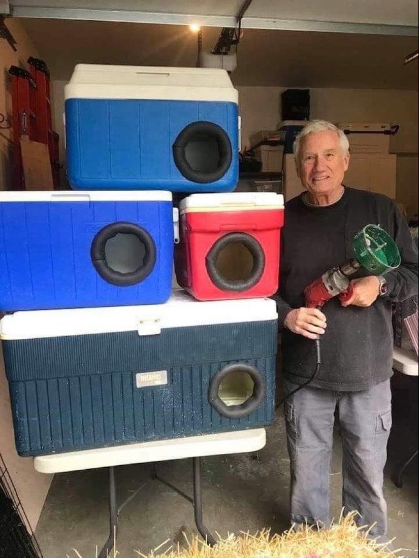 20+ interesting photos that will become your antidote to a bad day 20+ interesting photos that will become your antidote to a bad day