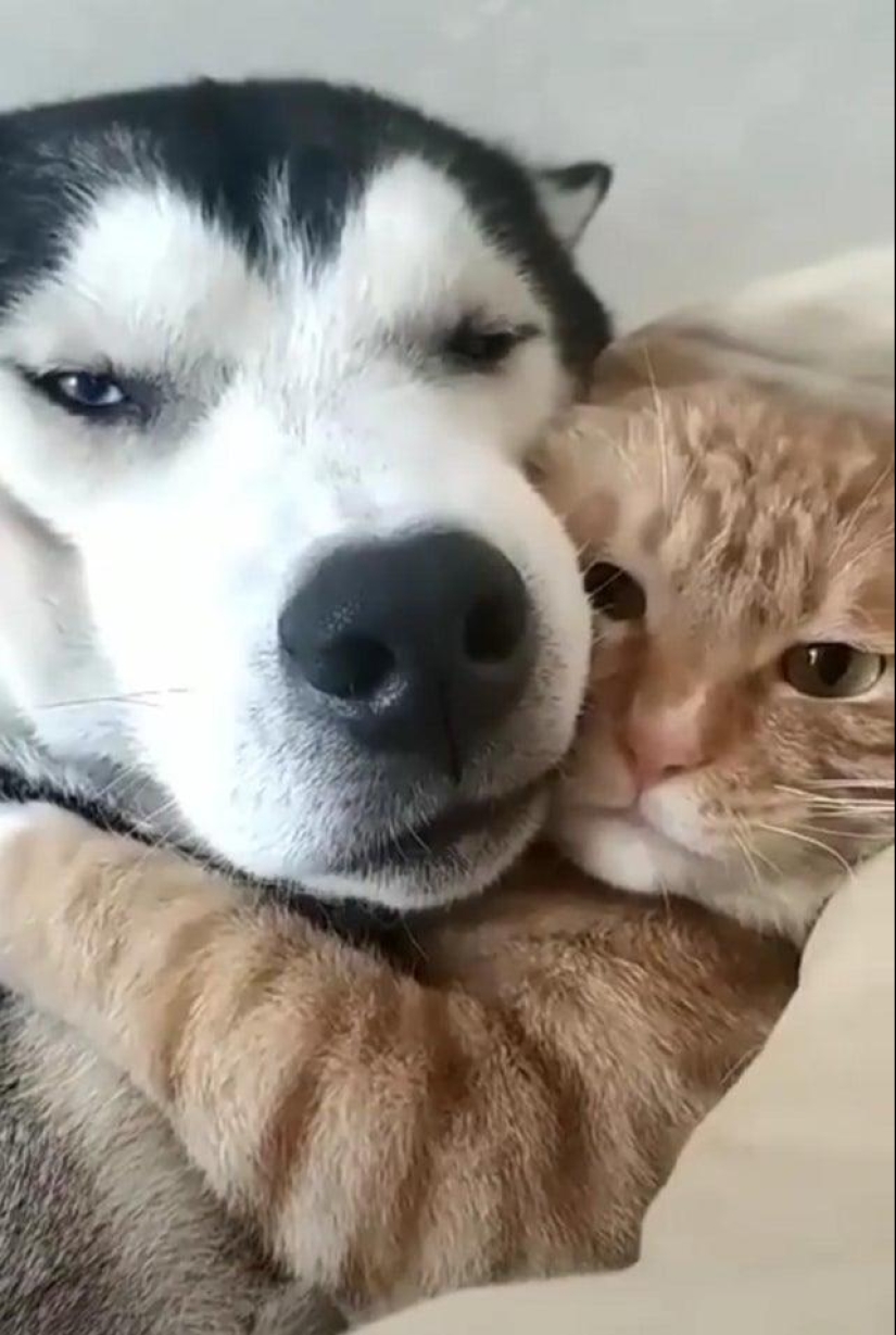 20+ interesting photos that will become your antidote to a bad day 20+ interesting photos that will become your antidote to a bad day