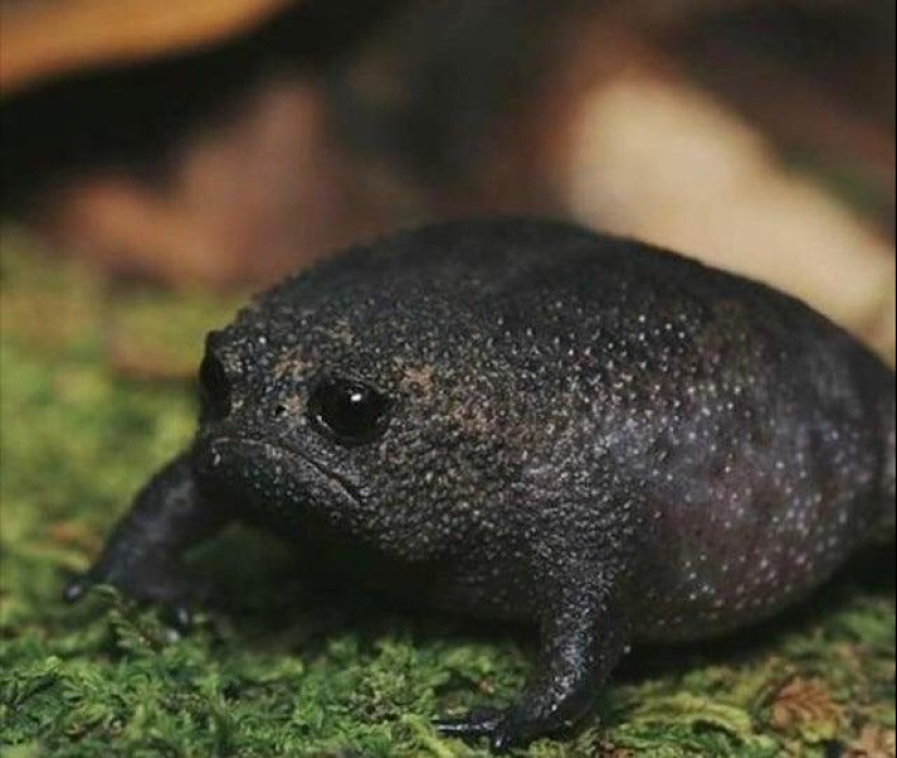 20+ interesting photos that will become your antidote to a bad day 20+ interesting photos that will become your antidote to a bad day