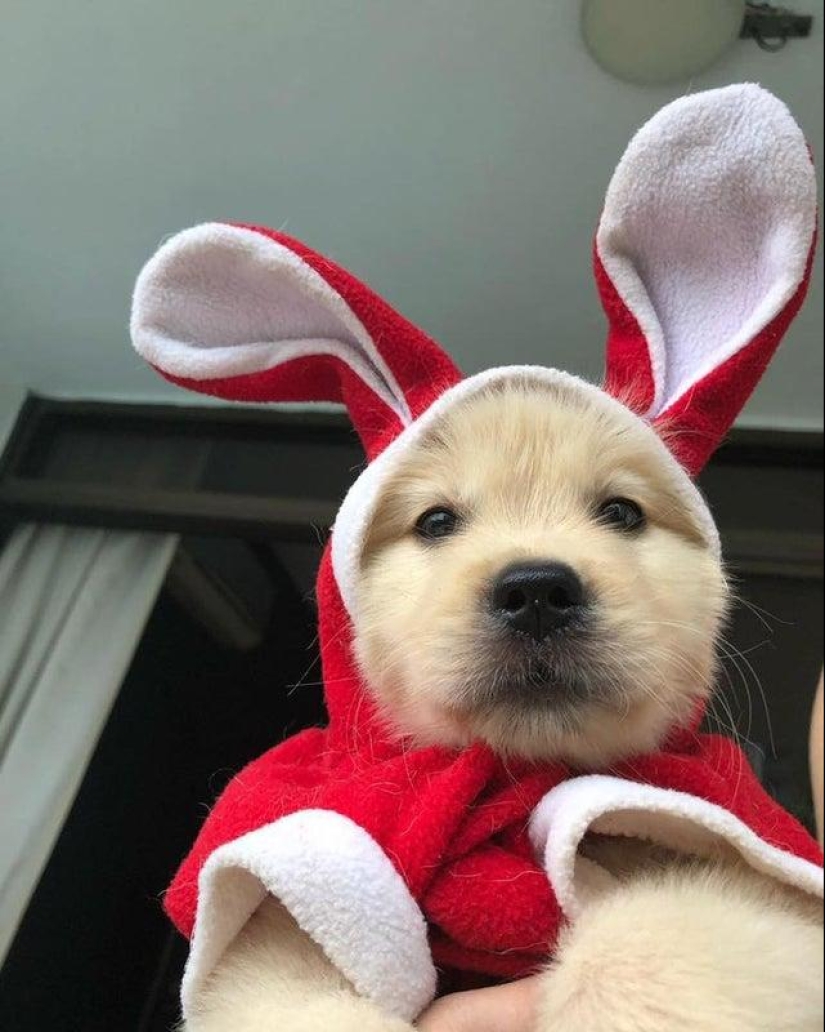 20+ interesting photos that will become your antidote to a bad day 20+ interesting photos that will become your antidote to a bad day