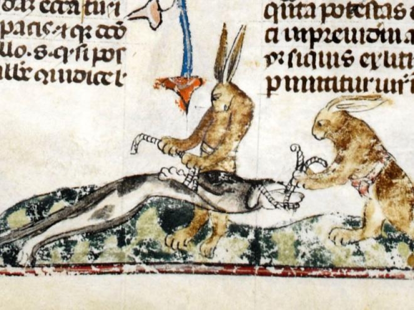 20 killer rabbits from medieval books: why these animals were painted as evil 20 killer rabbits from medieval books: why these animals were painted as evil