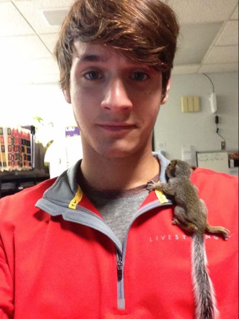 20 lindas pruebas de que un veterinario es una profesión de vuelo