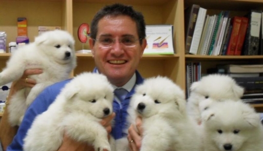 20 lindas pruebas de que un veterinario es una profesión de vuelo