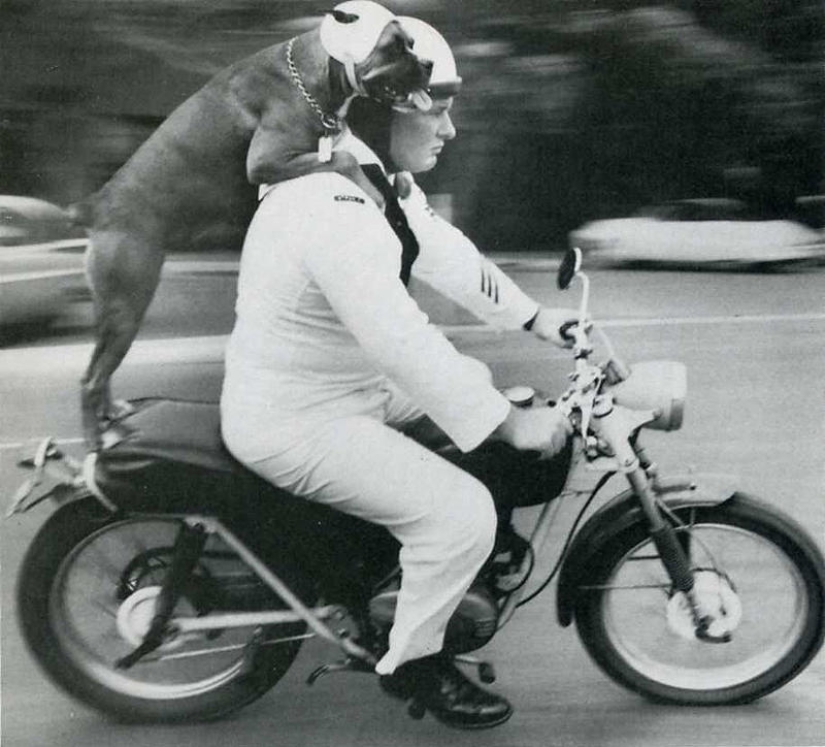 20 marcos históricos atrapados en el momento adecuado 20 marcos históricos atrapados en el momento adecuado