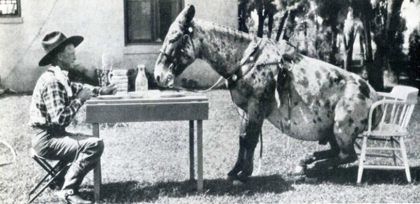 20 marcos históricos atrapados en el momento adecuado 20 marcos históricos atrapados en el momento adecuado