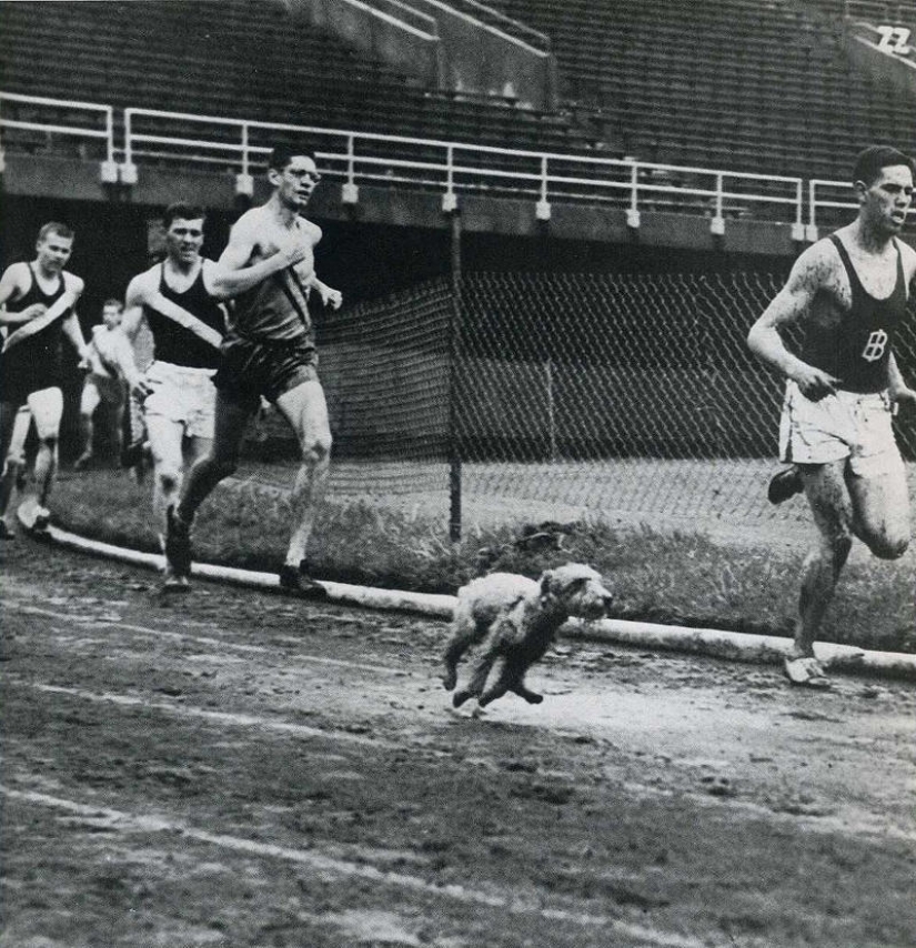 20 marcos históricos atrapados en el momento adecuado 20 marcos históricos atrapados en el momento adecuado