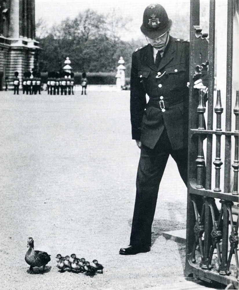 20 marcos históricos atrapados en el momento adecuado 20 marcos históricos atrapados en el momento adecuado