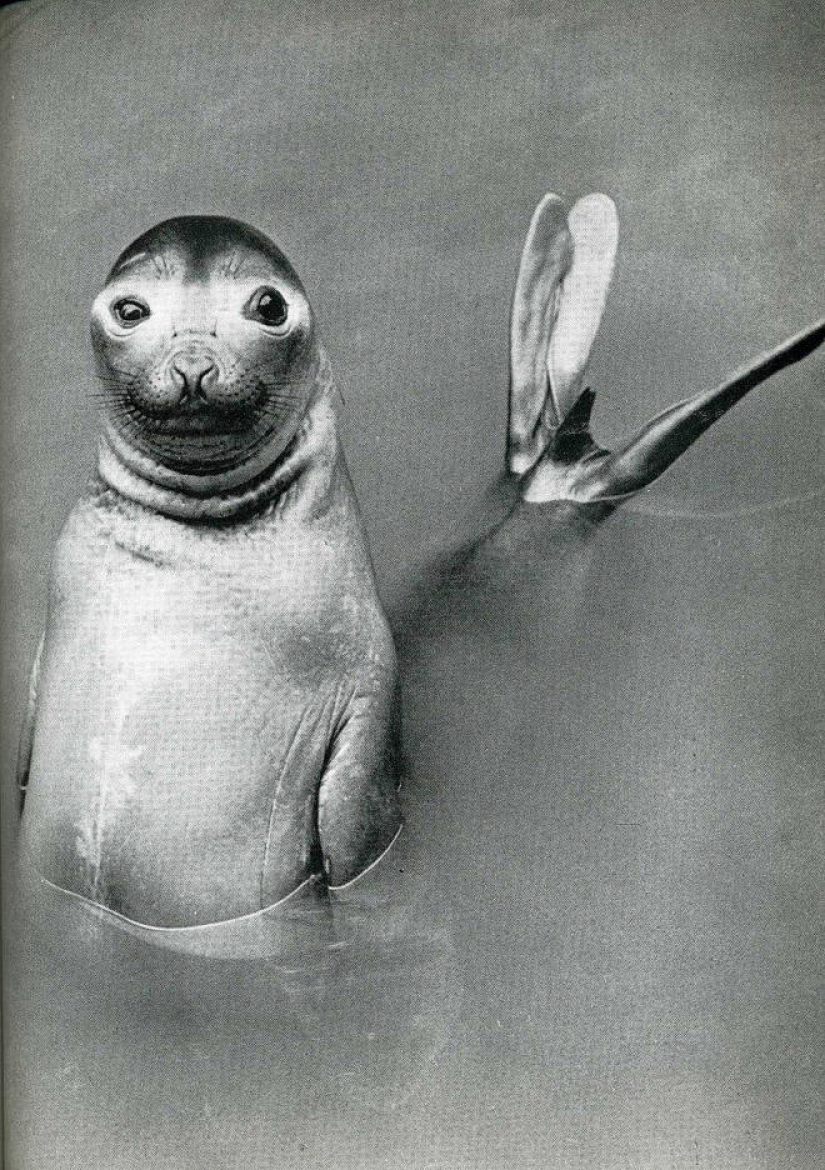 20 marcos históricos atrapados en el momento adecuado 20 marcos históricos atrapados en el momento adecuado