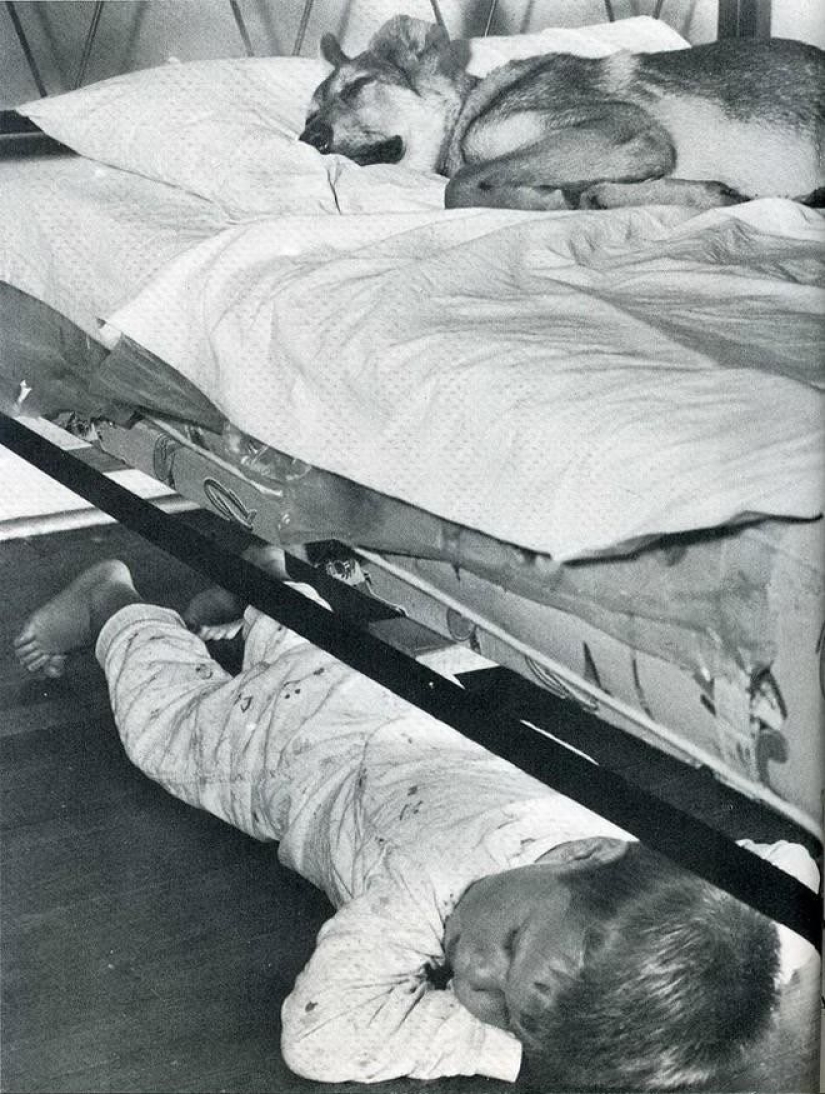 20 marcos históricos atrapados en el momento adecuado 20 marcos históricos atrapados en el momento adecuado