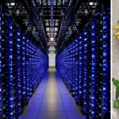 20 marcos que te darán fe en el orden