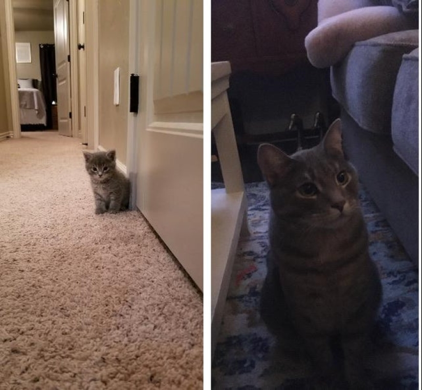 20 most Mimino and funny photos to set the mood 20 most Mimino and funny photos to set the mood