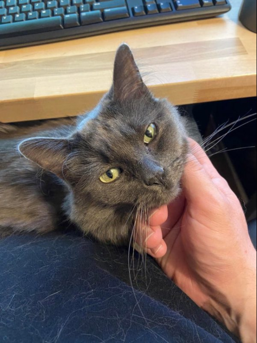 20 most Mimino and funny photos to set the mood 20 most Mimino and funny photos to set the mood