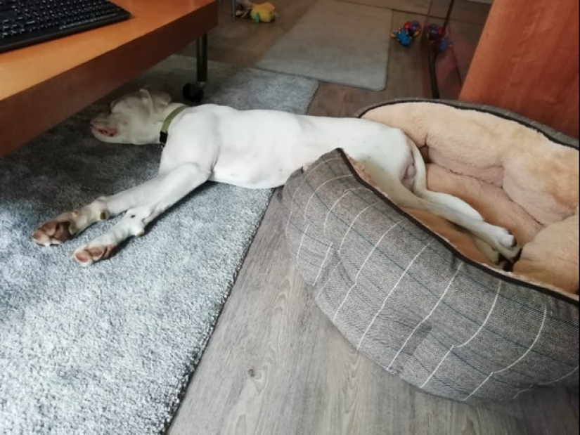 20 most Mimino and funny photos to set the mood 20 most Mimino and funny photos to set the mood