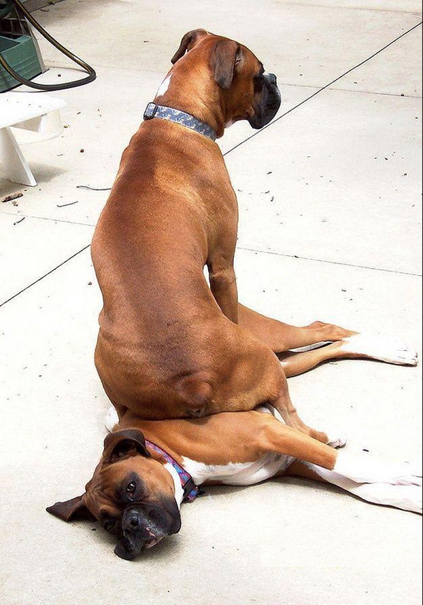 20 most touching and sincere photos about true friendship 20 most touching and sincere photos about true friendship