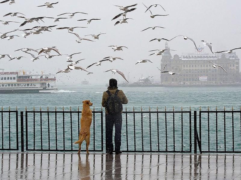 20 most touching and sincere photos about true friendship 20 most touching and sincere photos about true friendship