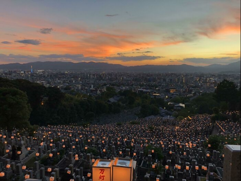 20 ocasiones en las que los viajeros se sorprendieron, se divirtieron o se sorprendieron en otros países 20 ocasiones en las que los viajeros se sorprendieron, se divirtieron o se sorprendieron en otros países