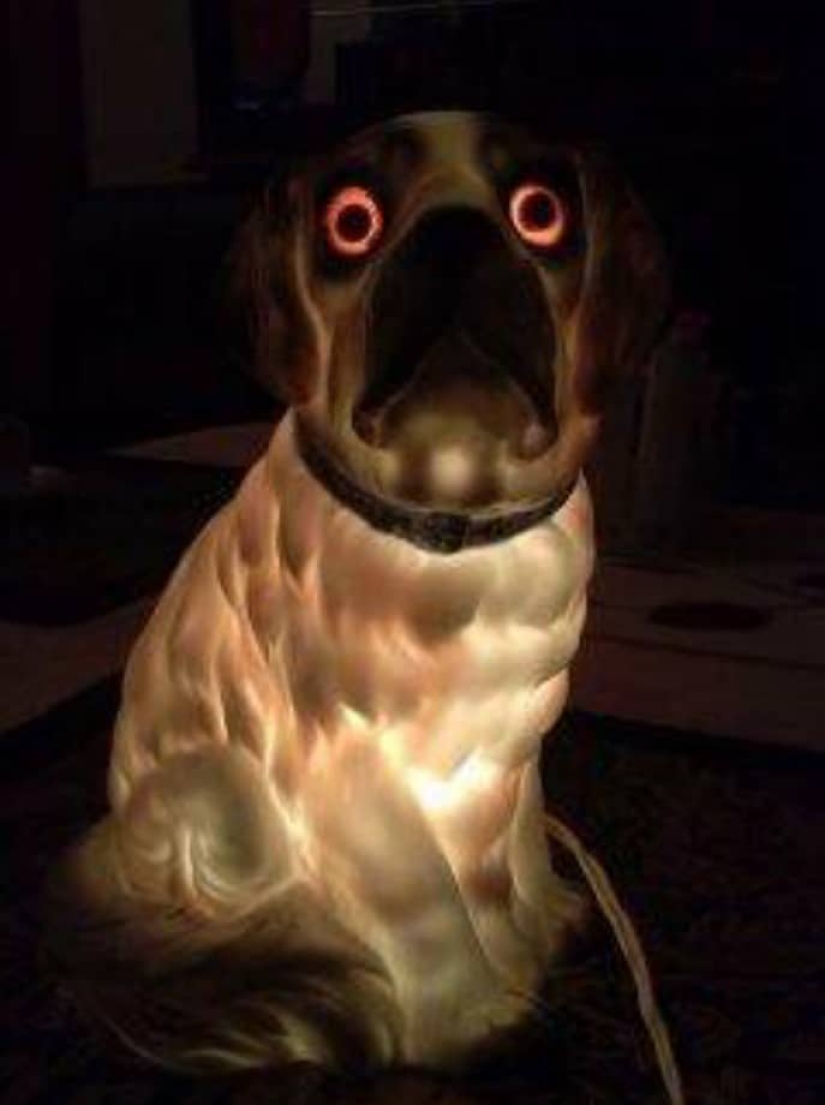 20 of the weirdest and strangest things from relatives ' homes