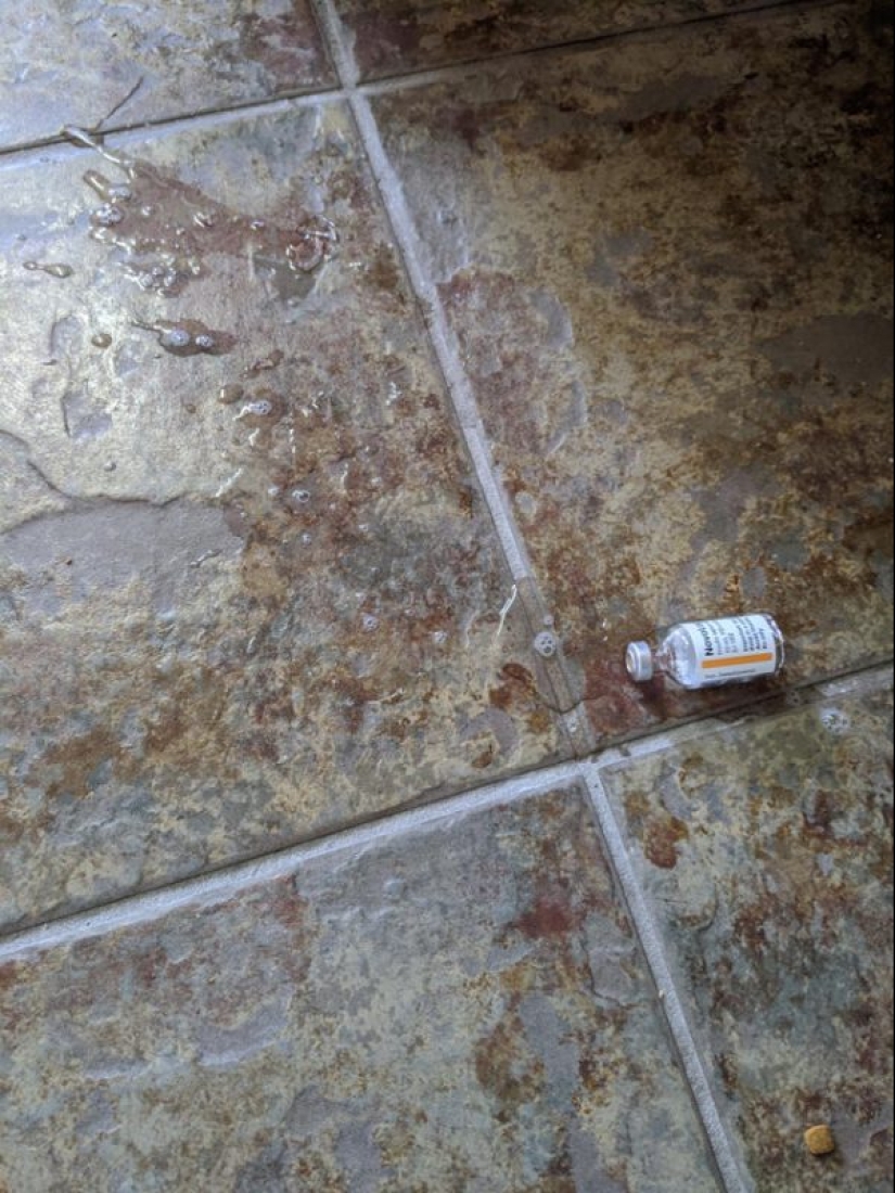 20 personas cuyo día no empezó como yo quería 20 personas cuyo día no empezó como yo quería