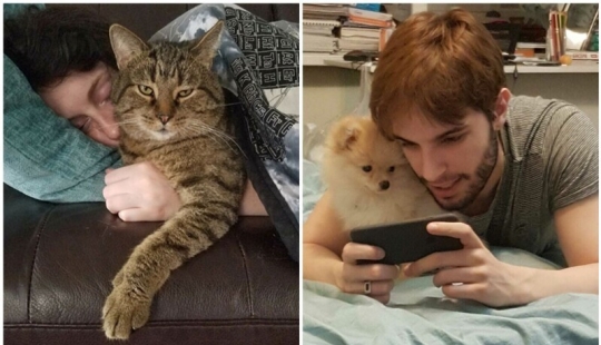 20+ Pets that shamelessly took the second halves of their owners