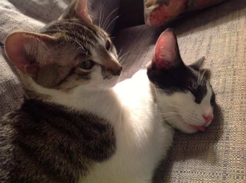 20 photos from the series "it seemed" that will take out your brain