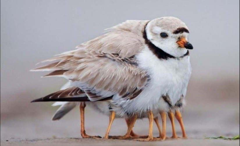 20 photos from the series "it seemed" that will take out your brain