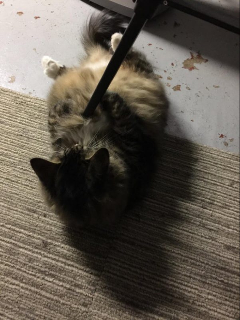 20 photos from the series "it seemed" that will take out your brain