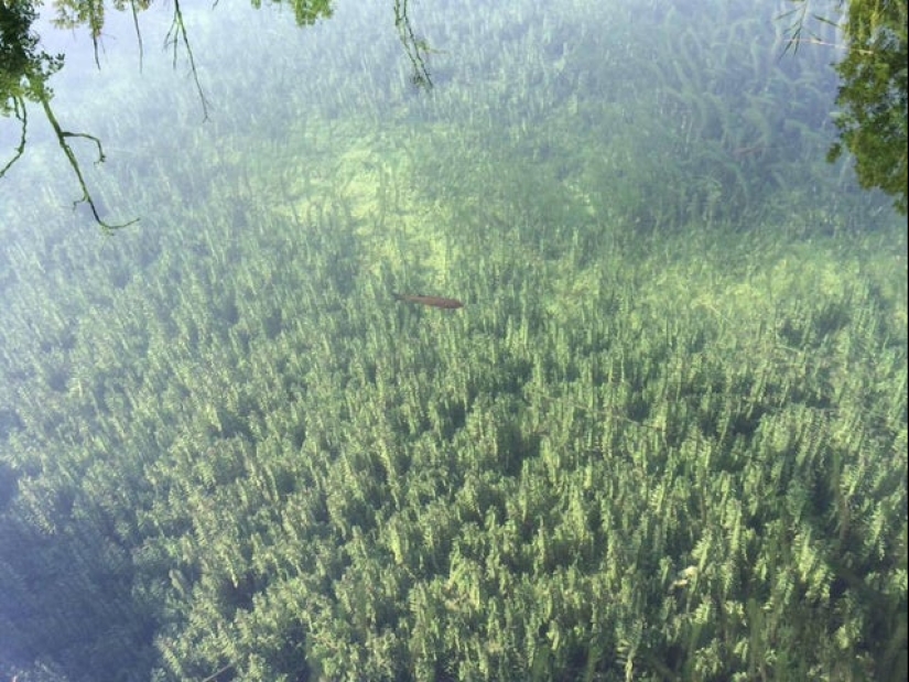 20 photos from the series "it seemed" that will take out your brain