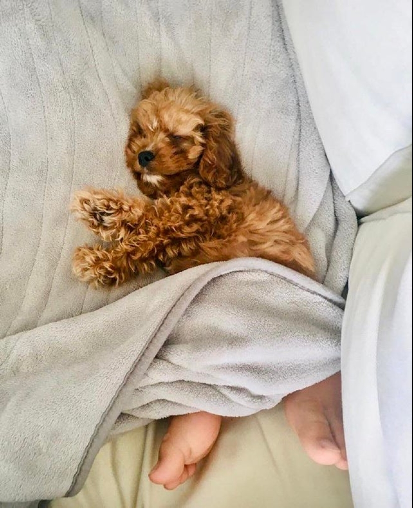 20 photos from the series "it seemed" that will take out your brain