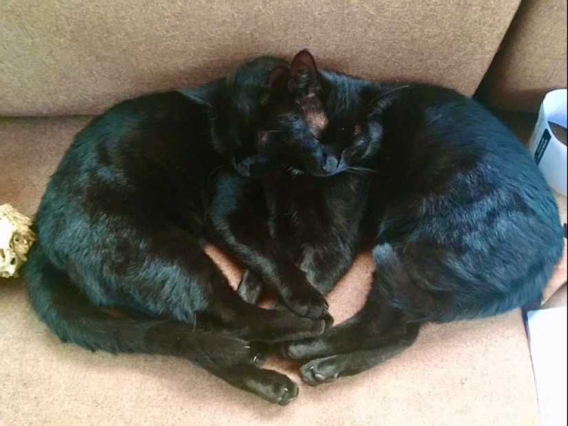 20 photos from the series "it seemed" that will take out your brain