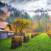 20 photos in which autumn is fantastically beautiful