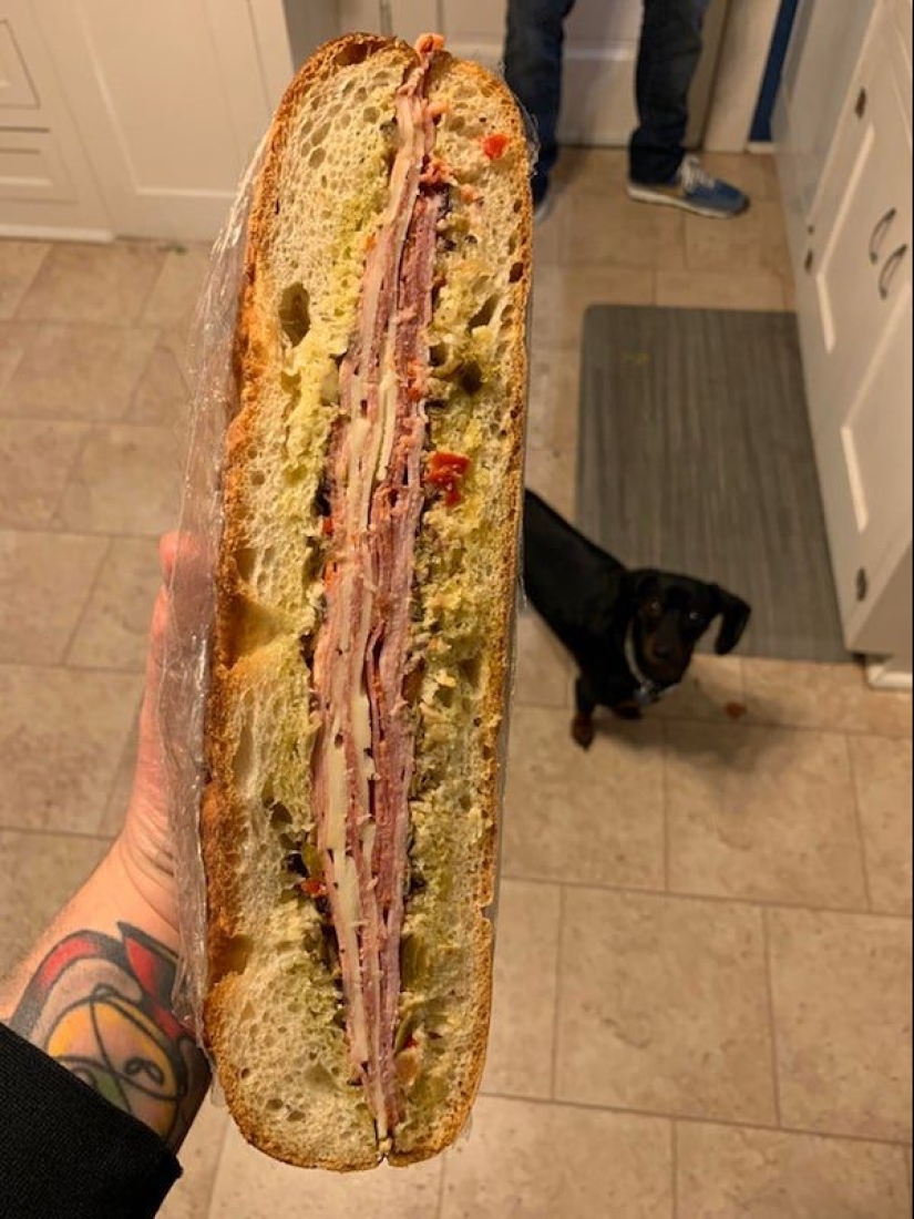 20 photos of Pets that have mastered the art of foraging 20 photos of Pets that have mastered the art of foraging