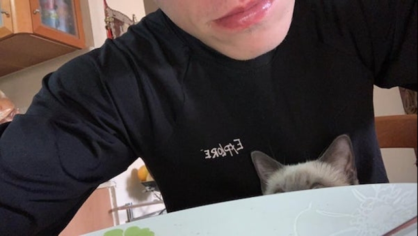 20 photos of Pets that have mastered the art of foraging 20 photos of Pets that have mastered the art of foraging