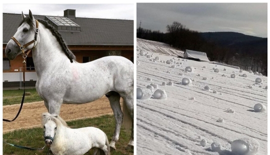 20 photos of unique things that most people will never see