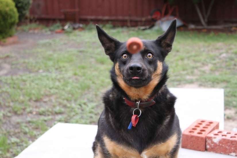 20 photos taken a second before the inevitable 20 photos taken a second before the inevitable