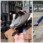 20 photos taken at the perfect moment