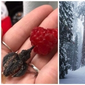 20 photos that prove that public transport is one big madness