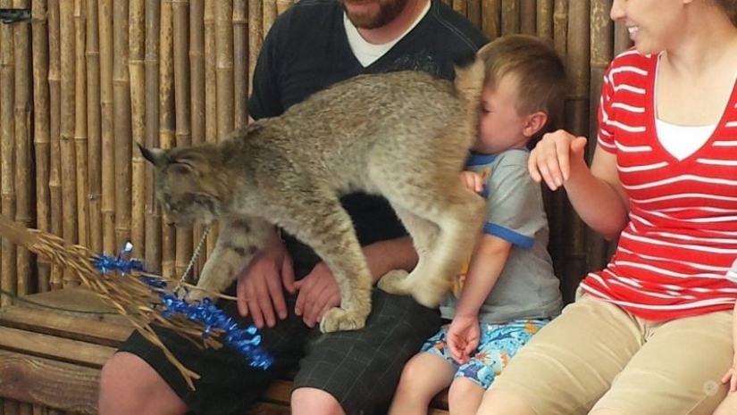 20 photos that were made at the right time